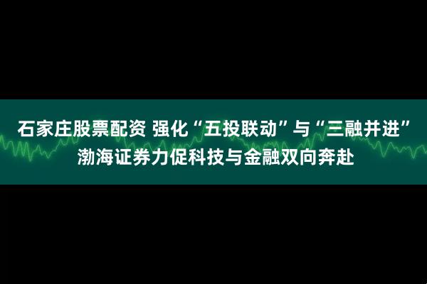石家庄股票配资 强化“五投联动”与“三融并进” 渤海证券力促科技与金融双向奔赴