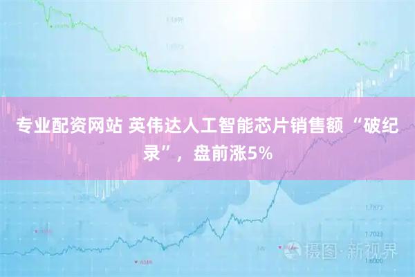 专业配资网站 英伟达人工智能芯片销售额 “破纪录”，盘前涨5%